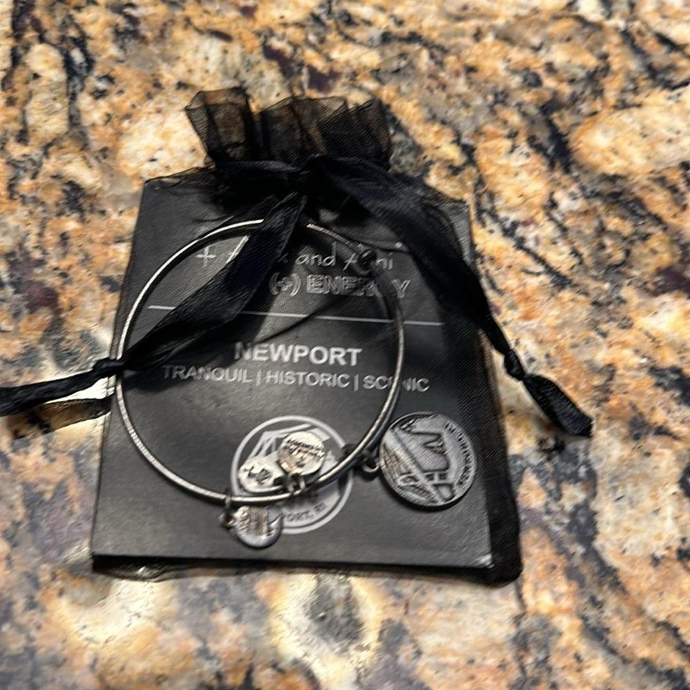 ALEX AND ANI ❤️ NEWPORT ~ TRANQUIL ~ HISTORIC ~SCENIC BRACELET~ NWT - Picture 6 of 6